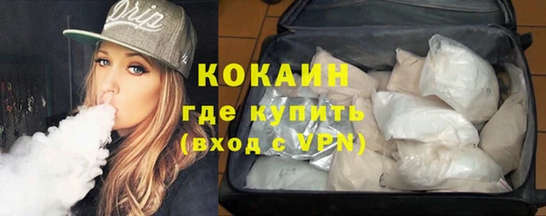 амф Дмитриев