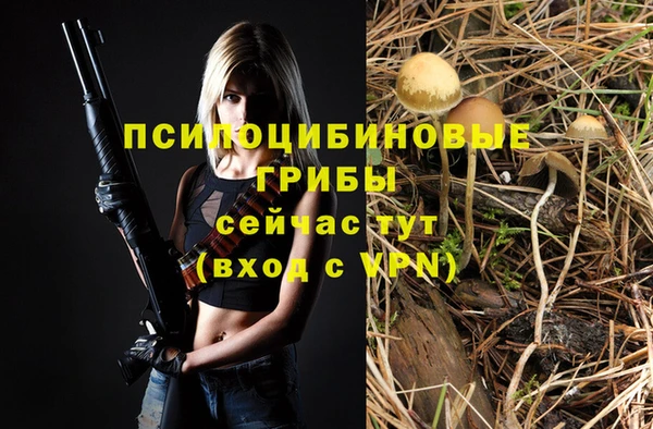 хмурый Гусиноозёрск